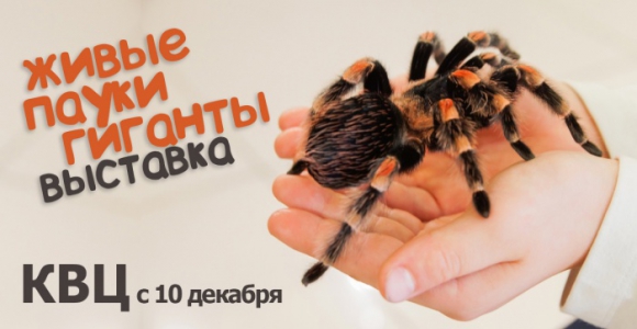 Скидка 100% на второй билет на выставку живых пауков-гигантов в КВЦ