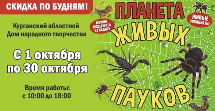 Скидка 100% на второй билет на выставку живых пауков-гигантов в КВЦ